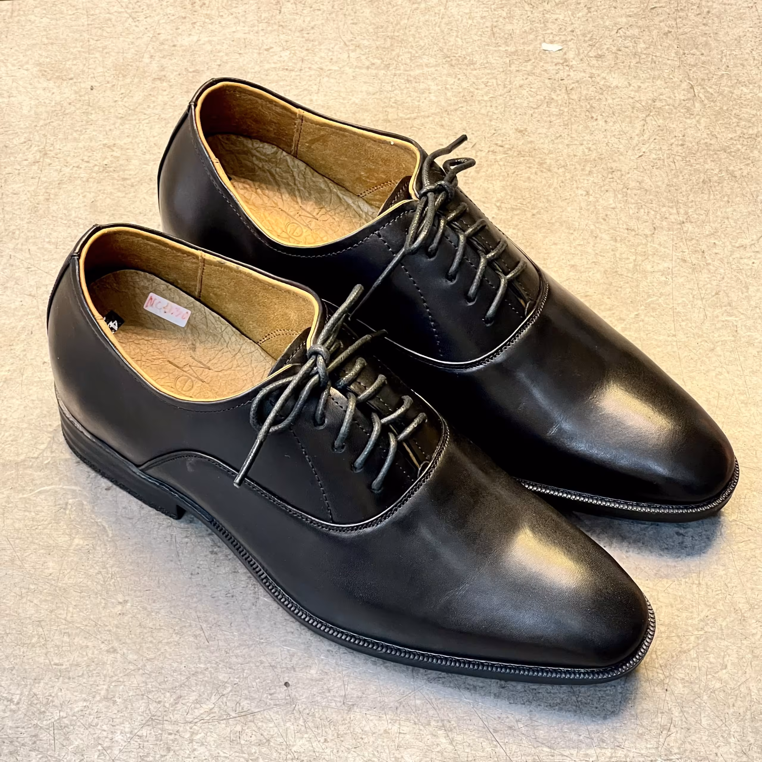 CAMEO CLASSIC OXFORD - TC CAO 699