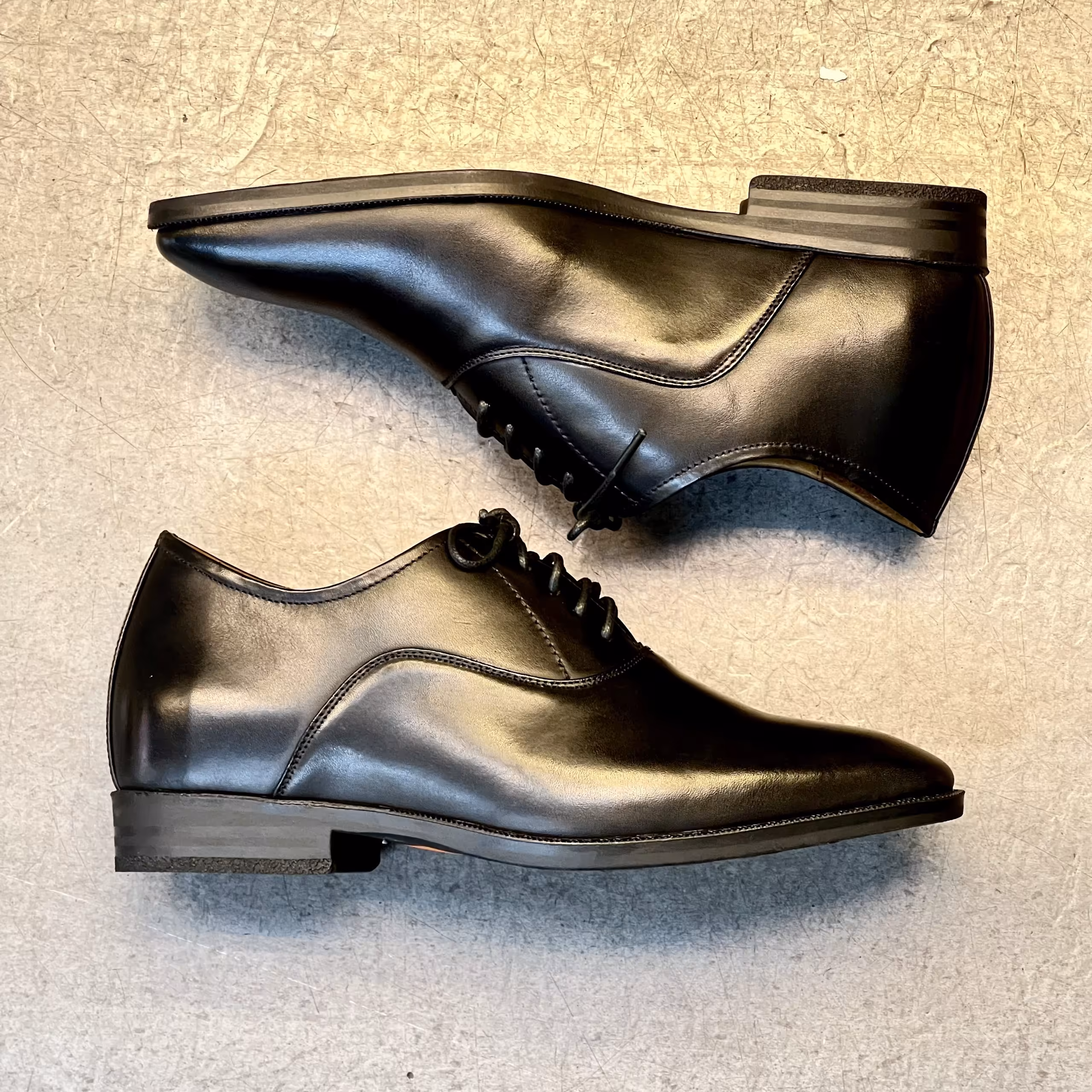 CAMEO CLASSIC OXFORD - TC CAO 699